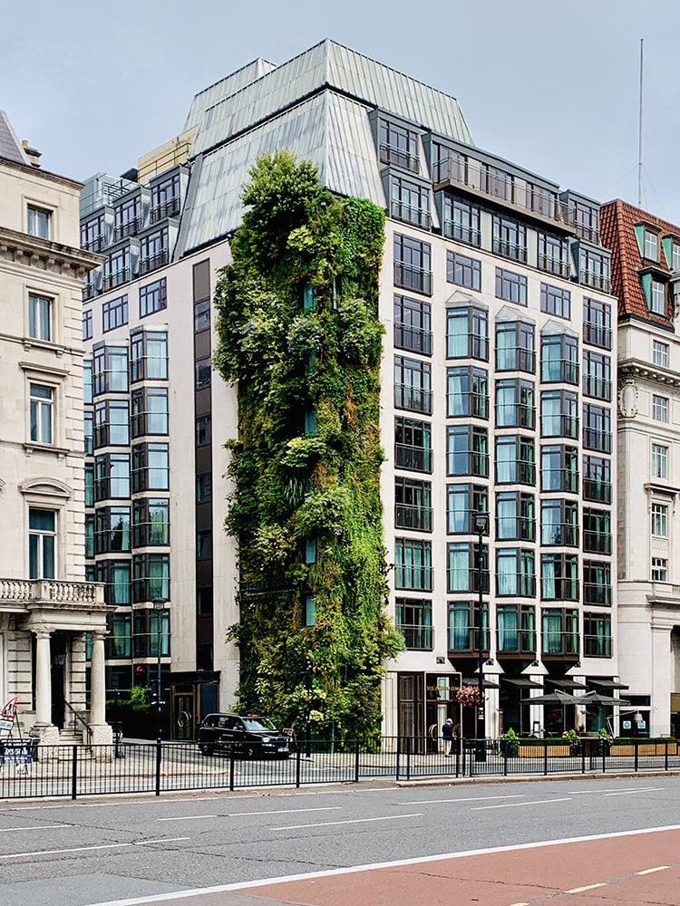 Façade d'un bâtiment moderne recouverte d'un mur végétal au milieu d'une rue d'immeubles anciens