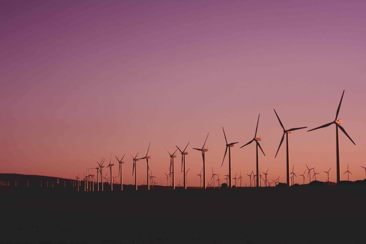Champs d'éoliennes représentant les perspectives 2030 de la loi énergie-climat