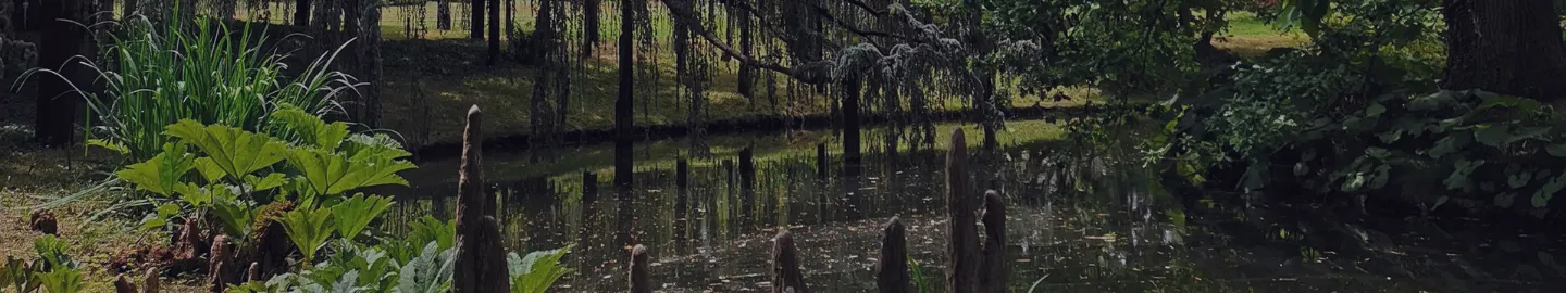 vue sur la vallée aux loups située à châtenay-malabry