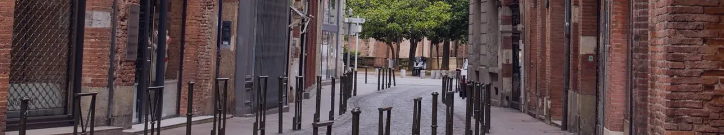 vue sur une rue dans le centre-ville de toulouse