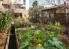 Vue potager de la résidence Cedrabella