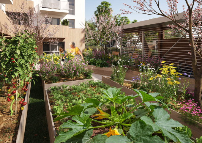 VUE POTAGER BD1