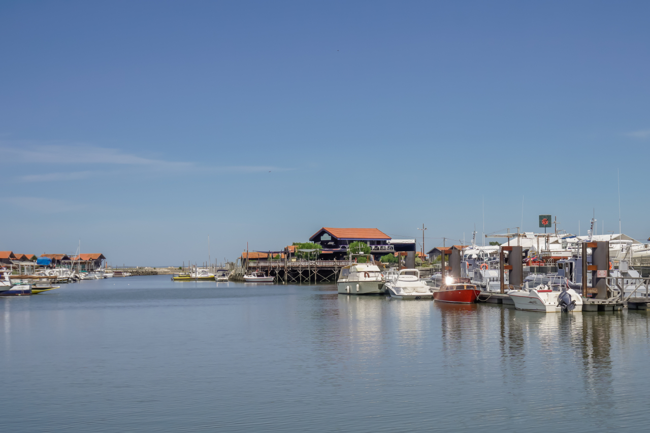 LP Promotion Gujan Mestras 4