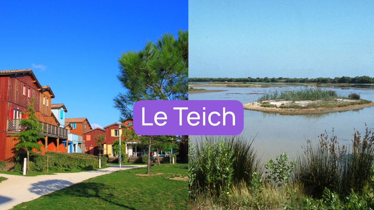 Immobilier au bassin d'Arcachon, Le Teich