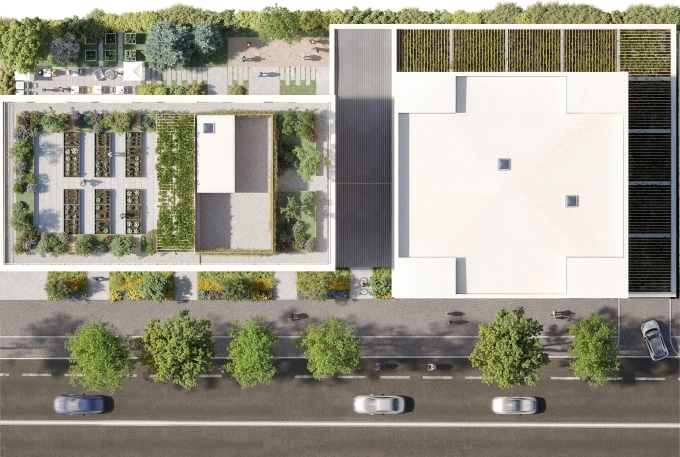 Plan de masse Bordeaux Bosc Horizon